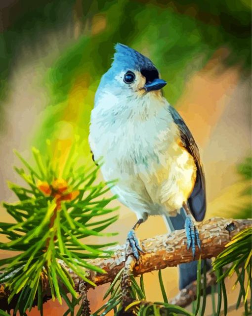 Tufted Titmouse On Branch paint by number