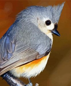 Tufted Titmouse Bird paint by number