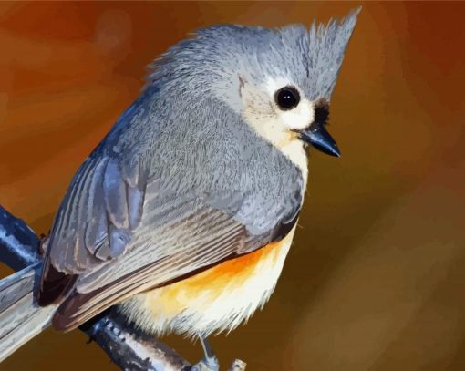 Tufted Titmouse Bird paint by number