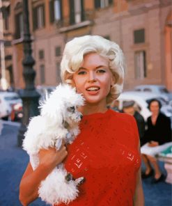 Vintage Jayne Mansfield paint by number