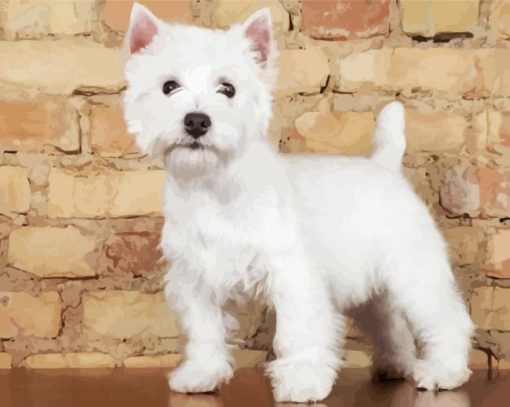 West Highland White Terrier Dogs paint by number