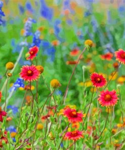 Wildflower In Gardens paint by number