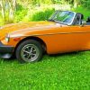 1980 Mg Orange Car paint by number