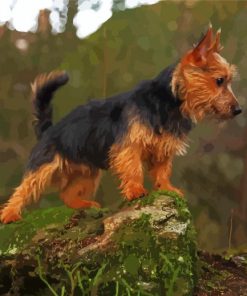 Aesthetic Australian Terrier paint by number