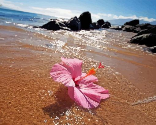 Aesthetic Beach Flowers paint by number