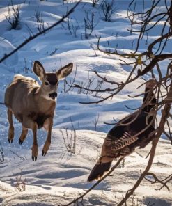 Aesthetic Deer And Turkey paint by number