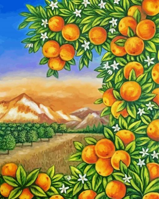 Aesthetic Orange Grove Art paint by number