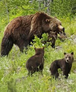 Bear Mother With Her Kids paint by number