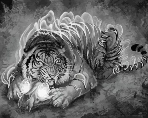 Black And White Tiger And Skull Art paint by number