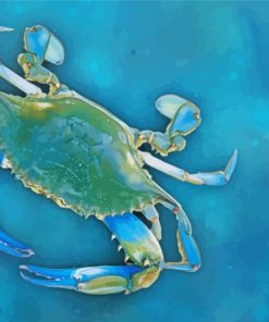 Blue Crab Animal paint by number