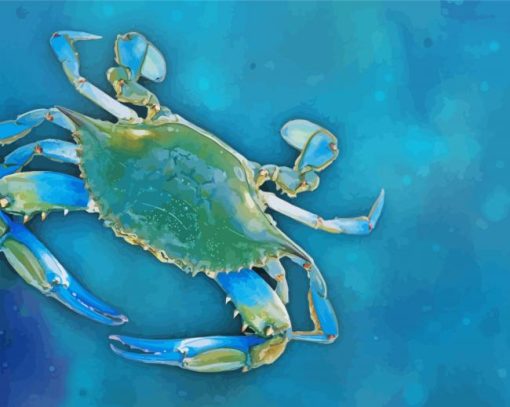 Blue Crab Animal paint by number