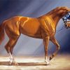 Brown Secretariat Horse paint by number