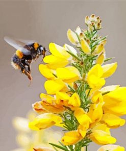 Bumble Bee And Yellow Flower paint by number