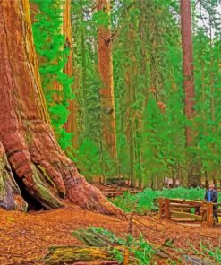 California Redwoods Landscape paint by number