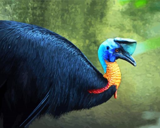 Cassowary Bird paint by number