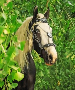 Cob Horse paint by number