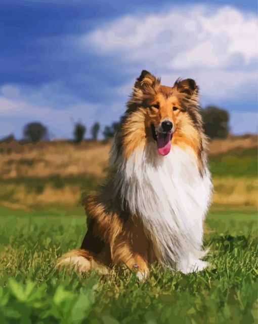 Cute Rough Collie paint by number