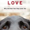 Dog Is Love Poster paint by number