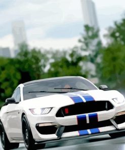 Ford Shelby GT350R On Road paint by number