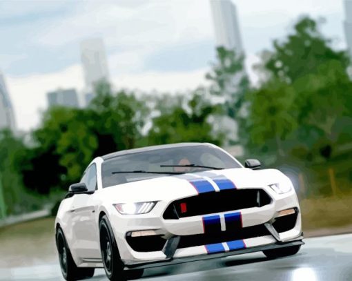 Ford Shelby GT350R On Road paint by number