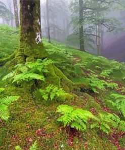 Green Ferns In Forest Paint by number