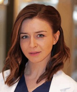 Greys Anatomy Character Amelia Shepherd Paint by number