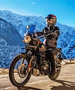 Himalayan Motorcycle Driver paint by number