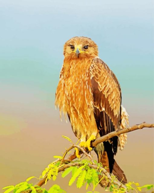 Indian Spotted Eagle On Stick paint by number