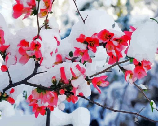 Pink Snow Flowers paint by number