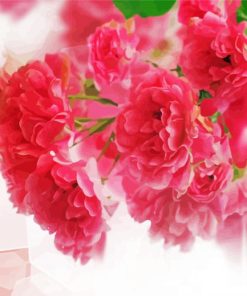 Pink Carnation paint by number