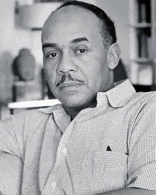 Ralph Ellison paint by number