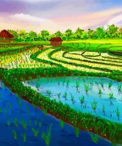 Rice Field paint by number