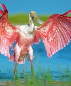 Roseau Spoonbill Bird paint by number