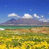 Table Mountain National Park Landscape paint by number