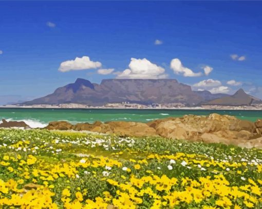 Table Mountain National Park Landscape paint by number