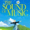 The Sound Of Music Poster paint by number