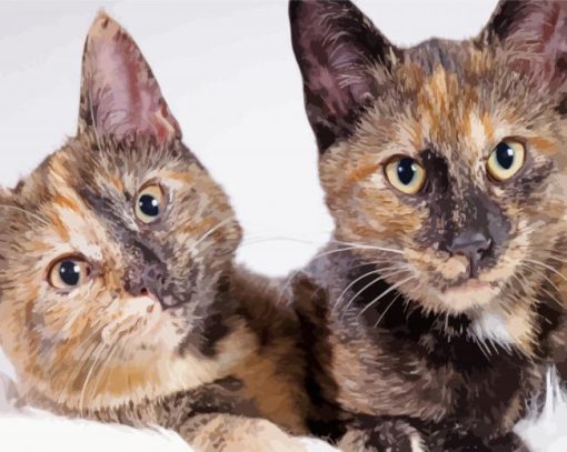 Tortoiseshell Kittens paint by number