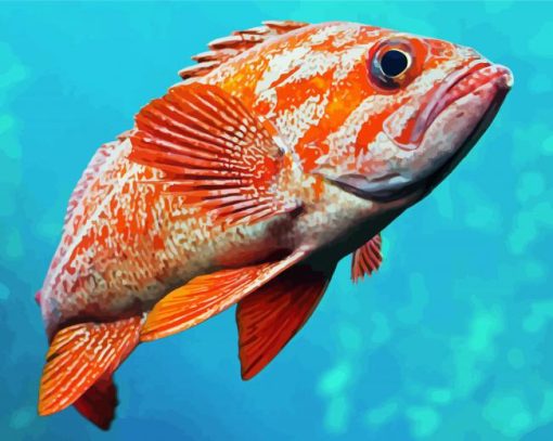 Vermilion Rockfish paint by number