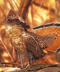 Aesthetic Ruffed Grouse Bird paint by number