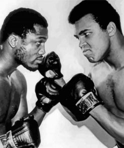 Black And White Ali And Frazier paint by number