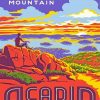 Cadillac Mountain Acadia Park Poster paint by number