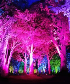 Colorful Forest Light paint by number