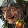 Creepy Crone With Apple paint by number