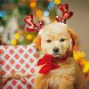 Cute Santa Puppy paint by number