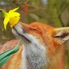 Cute Fox Smelling Flowers paint by number