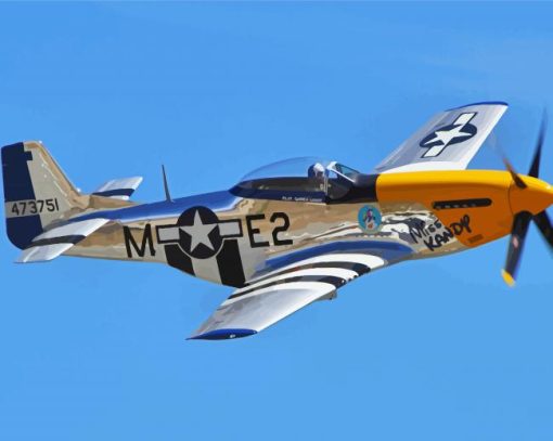 Flying Aircraft Mustang P51 paint by number