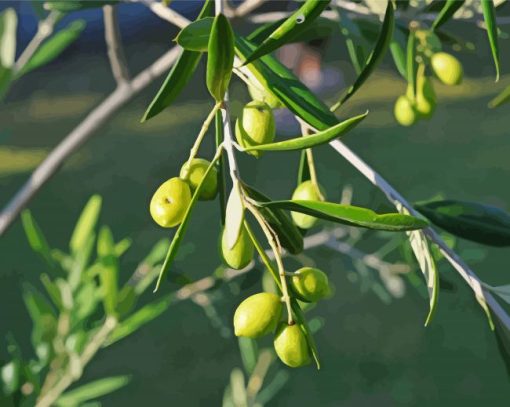 Green Olive Trees paint by number