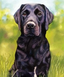 Pastel Dog Portrait Art paint by number