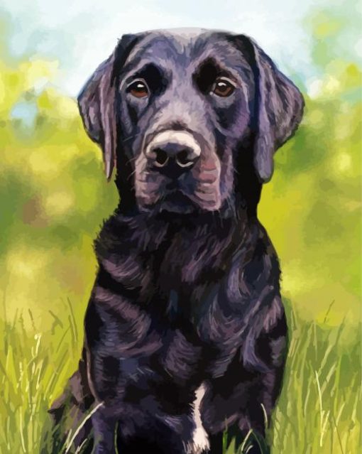 Pastel Dog Portrait Art paint by number