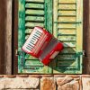 Red Accordion paint by number